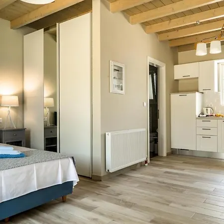 别墅 Gionis 费斯卡尔德宏